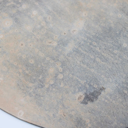 Tray Oval L 180x270 Wataru Hatano