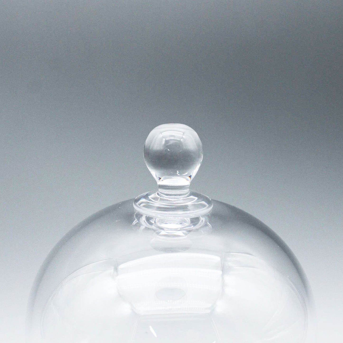 Dome & Compote S Clear_Taku Eiki