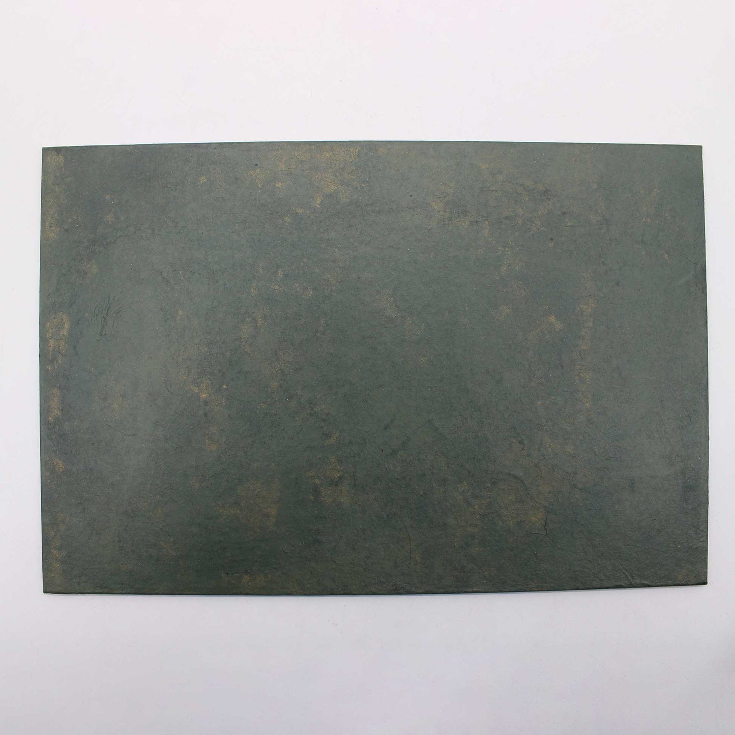 Tray 270x180 Wataru Hatano