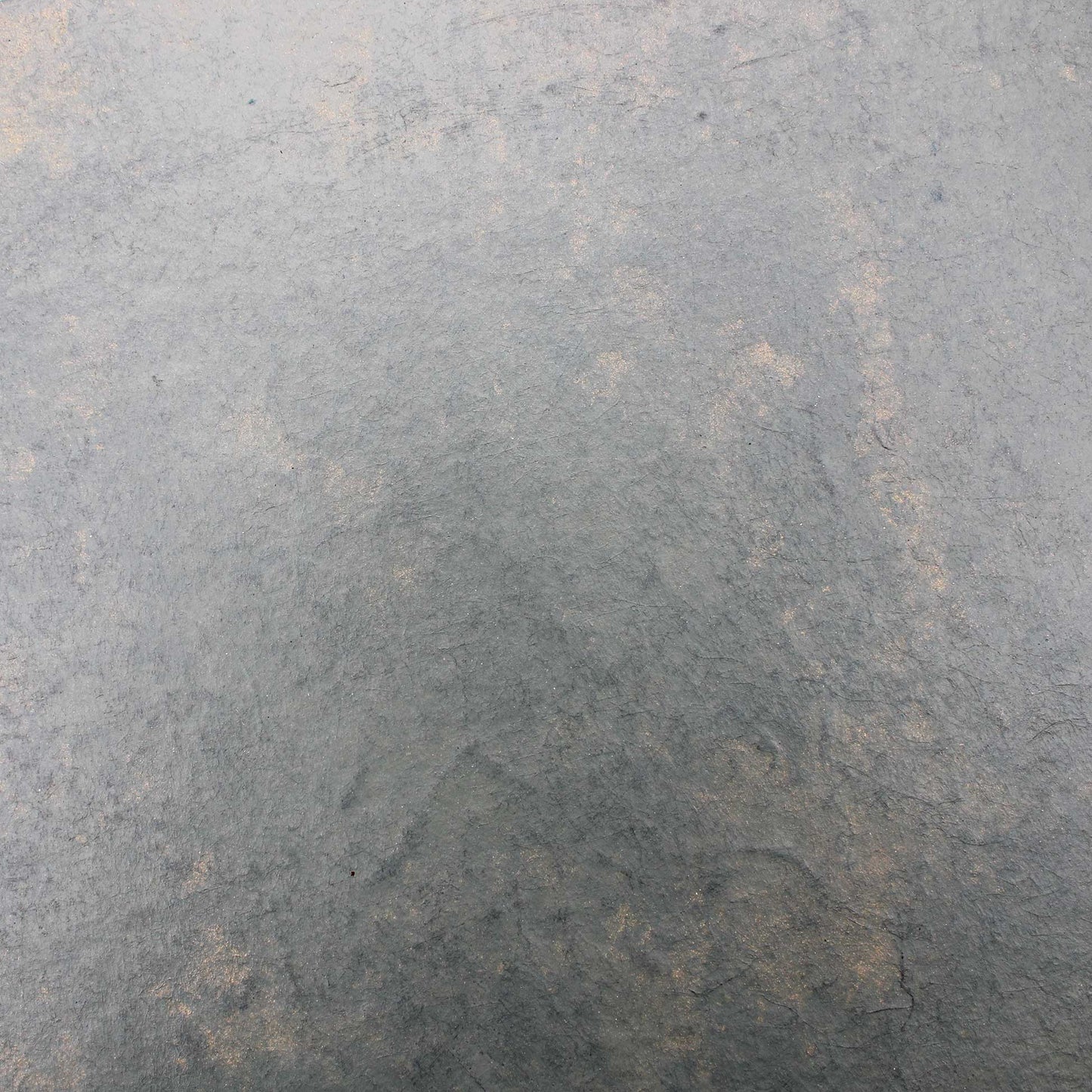 Tray 270x180 Wataru Hatano