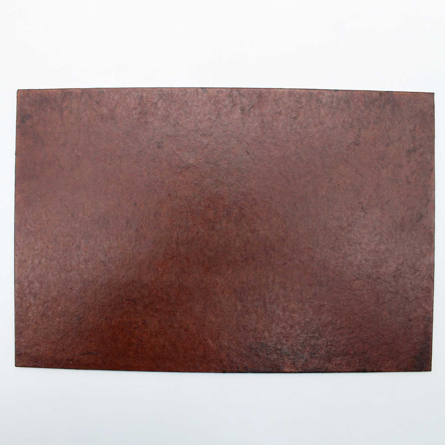 Tray 270x180 Wataru Hatano