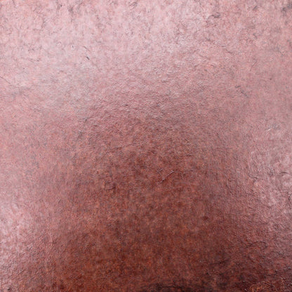 Tray 270x180 Wataru Hatano
