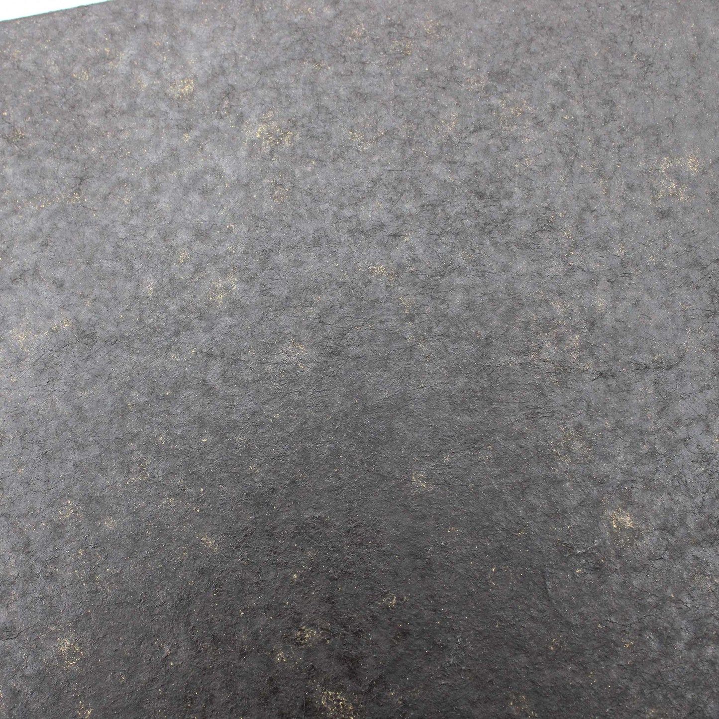 Tray 270x180 Wataru Hatano