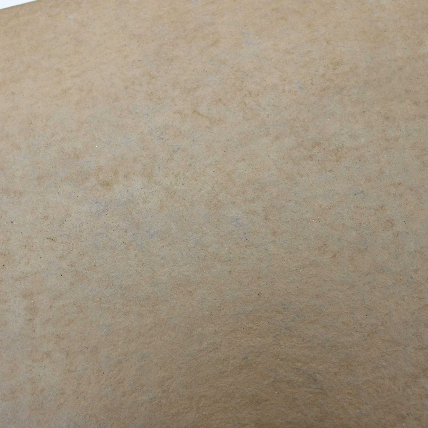 Tray 270x180 Wataru Hatano