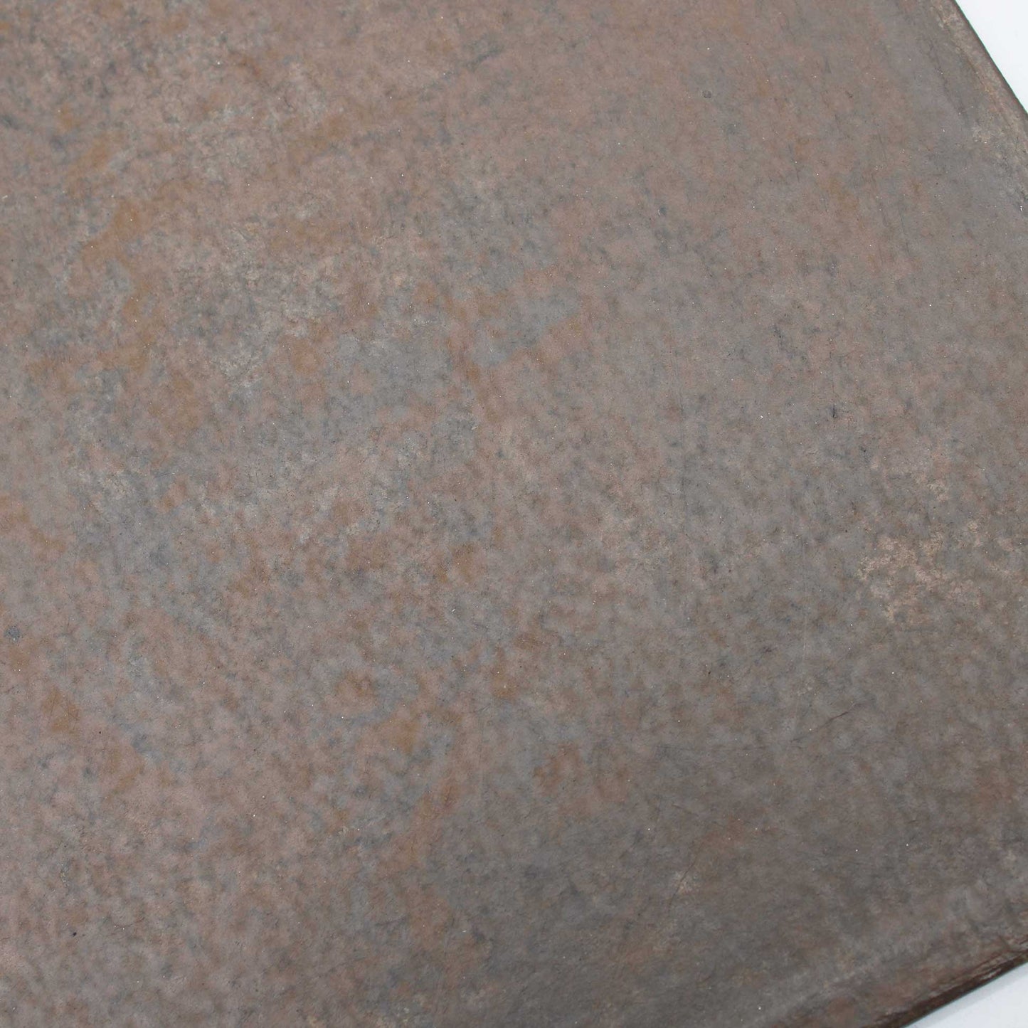 Tray 300x450 Wataru Hatano