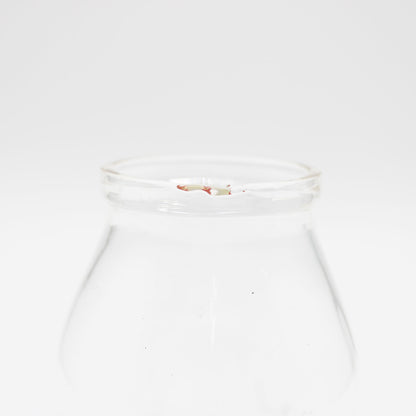 Vintage Glass 1 511