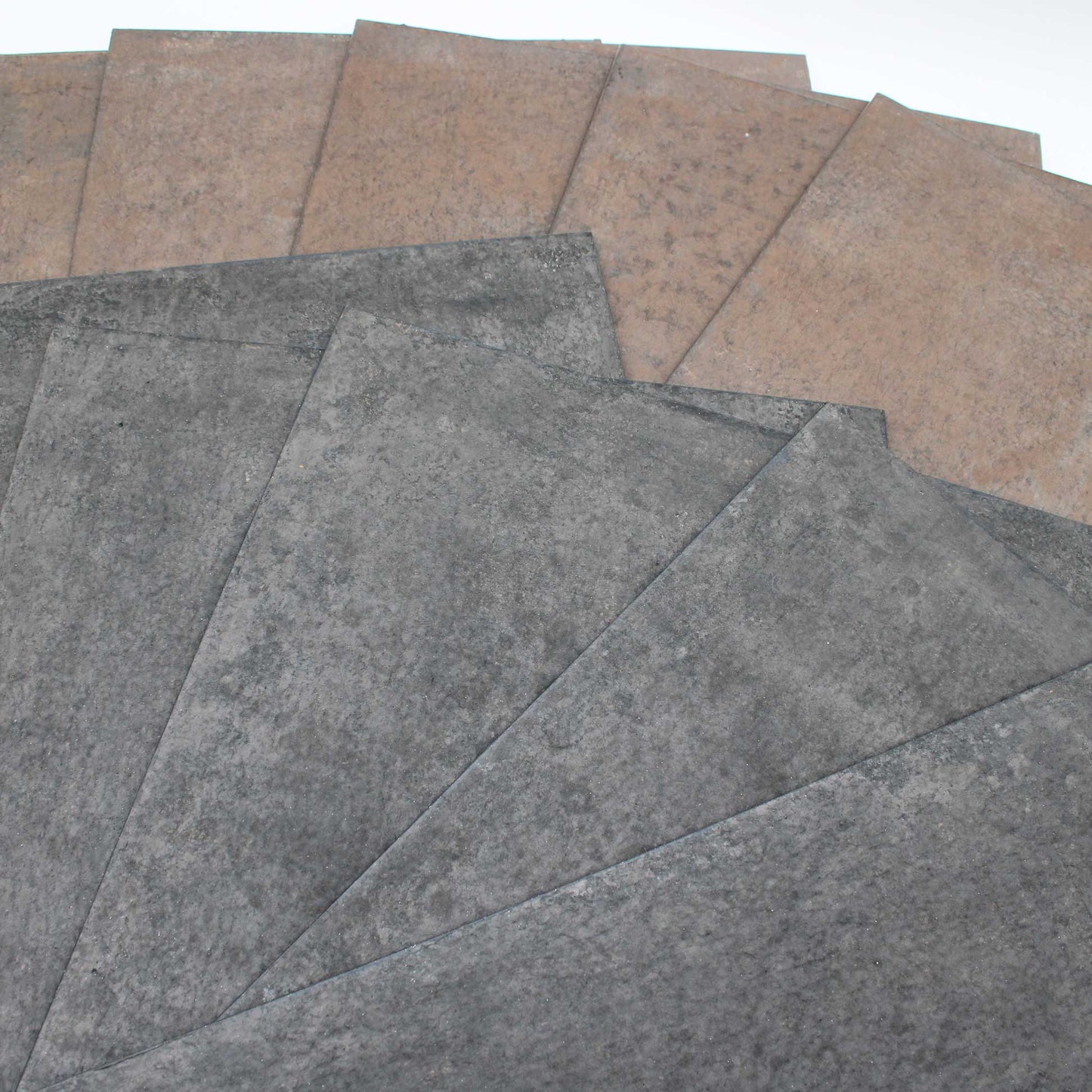 Tray 300x450 Wataru Hatano