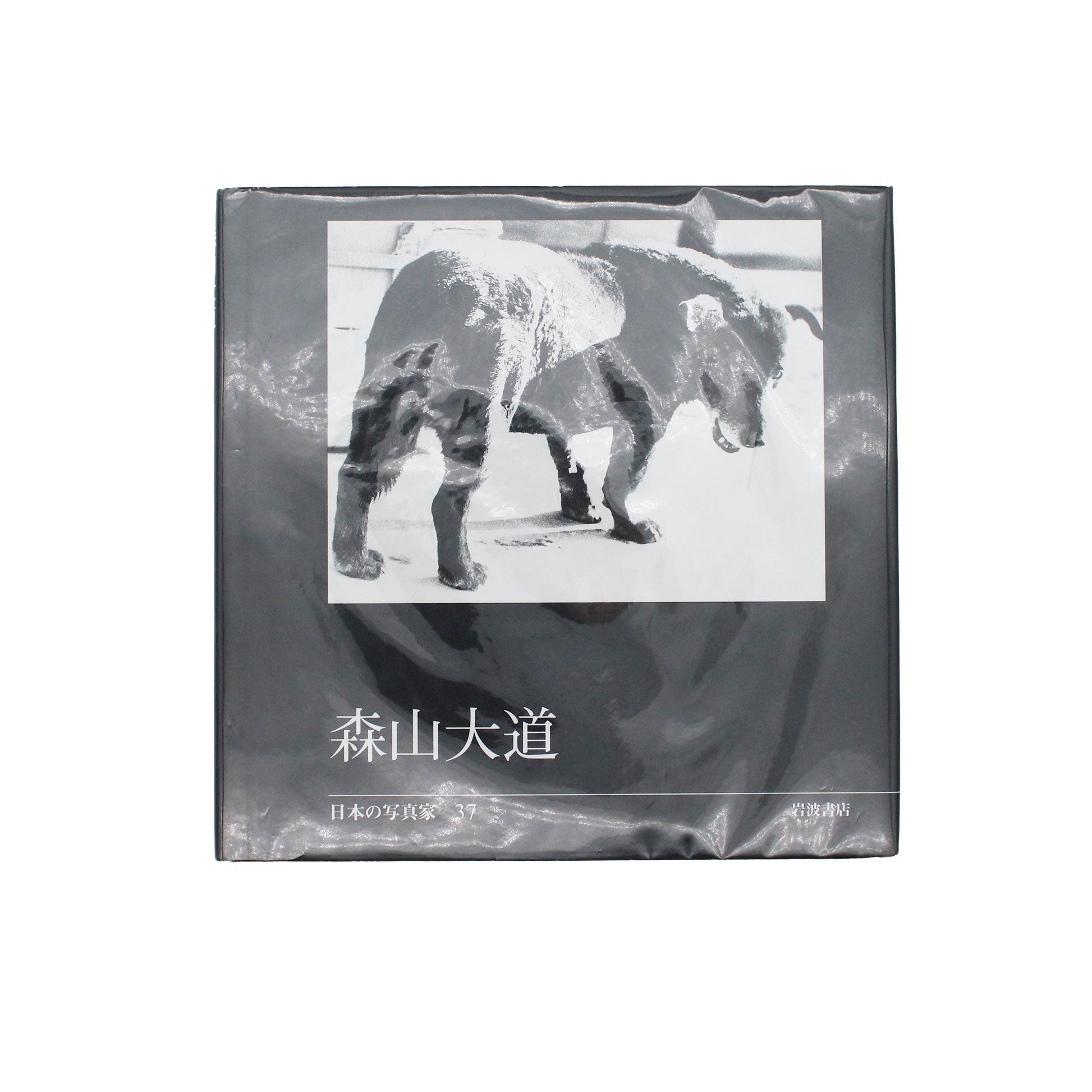 The Latest Arrivals – CIBONE O'TE