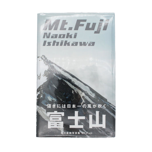 Mt. Fuji