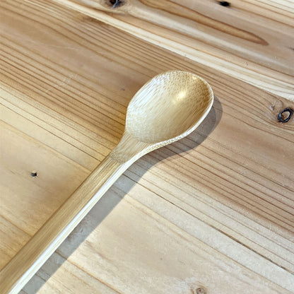 CPH SMALL SPOON