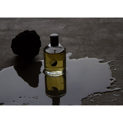 INK Botanical Airmist AOIRO