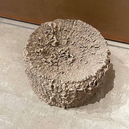 CRACK AND SHRINK SHUNKY extralarge 2301