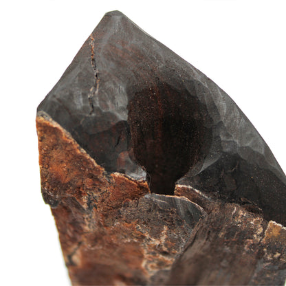 Single-Stem Vase C_Yuriko Nishiishigaki