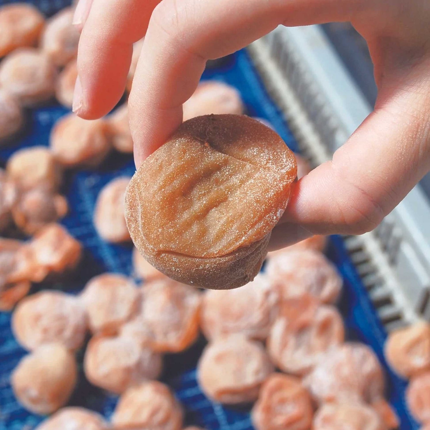 HACHIMITSU Umeboshi - Sweet Honey