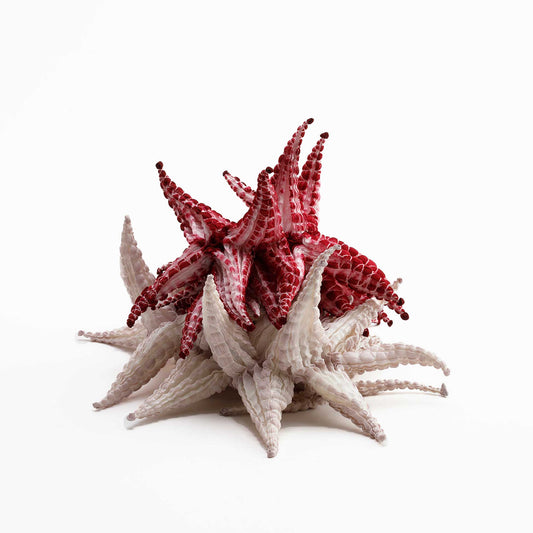Shibori StoleKumo Gradation WINE