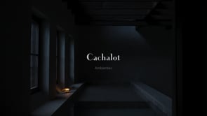 Cachalot Clear Lamp