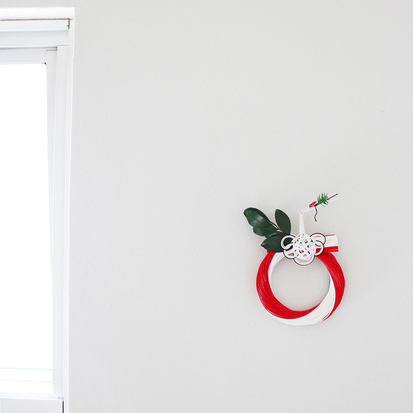 Red & White Camellia 5