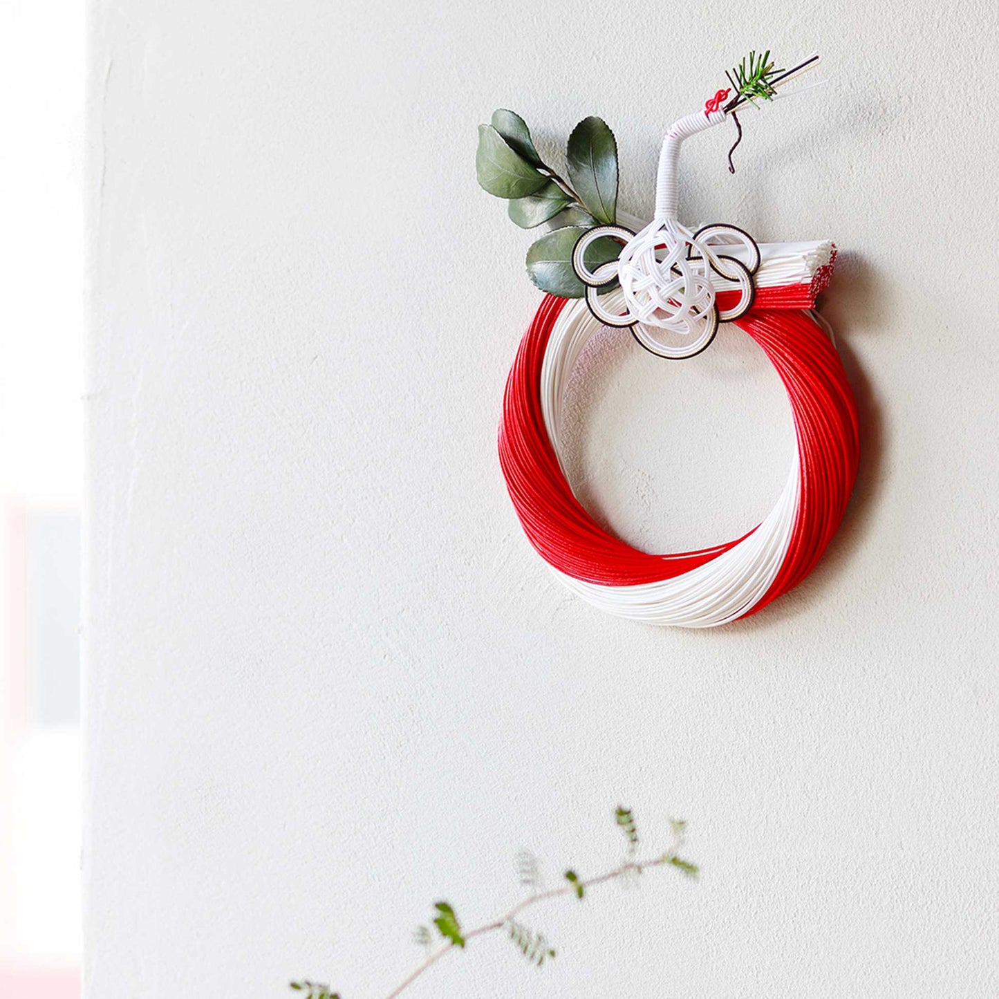 Red & White Camellia 5