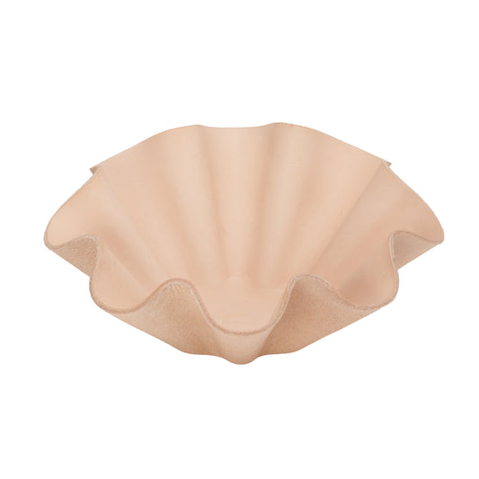 shell bowl big Natural