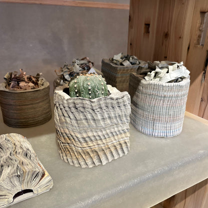 PAPIERPOT 15 drop