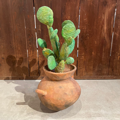 Yuto Yamazaki cuctus 2