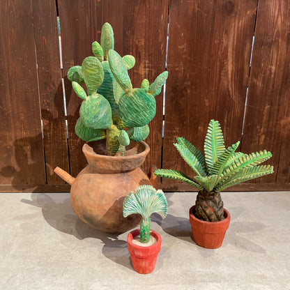 Yuto Yamazaki cuctus 2